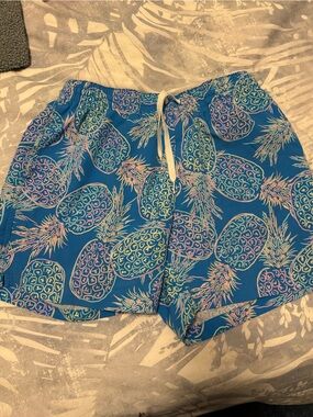 Chubbies bathing suit 5.5 inch medium